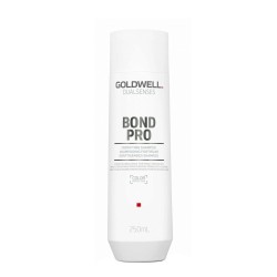 Shampoo Goldwell 250 ml (MPN M0120619)